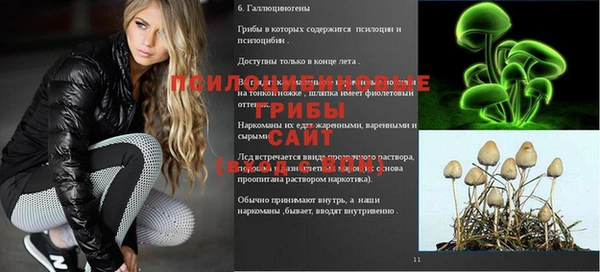 гашик Белоозёрский