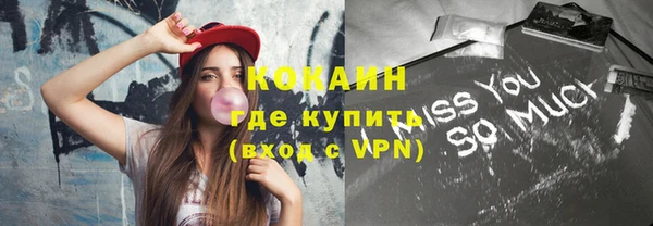 гашик Белоозёрский