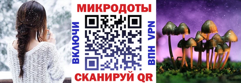Псилоцибиновые грибы мицелий  блэк спрут как зайти  Купино  как найти закладки 